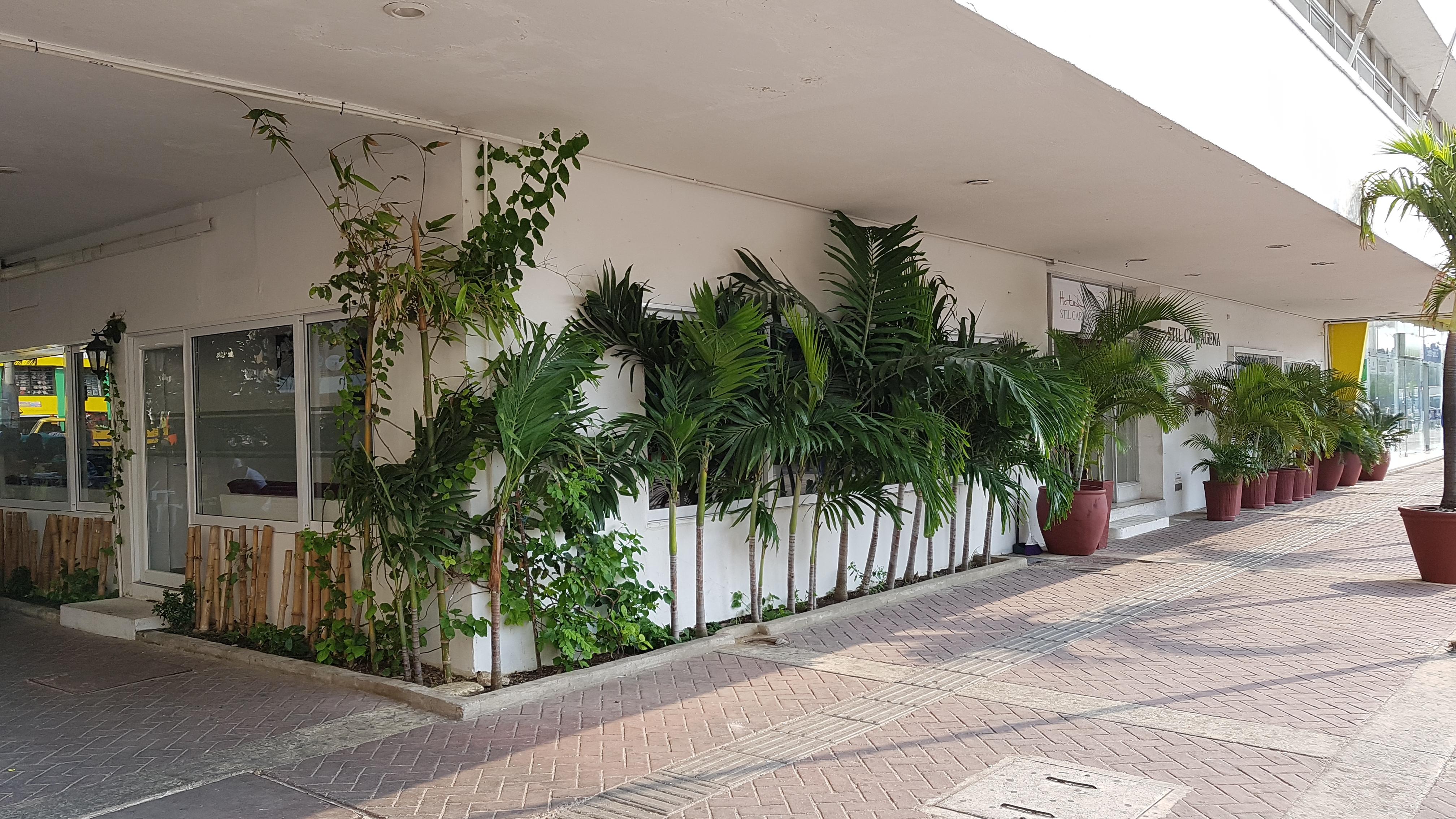 Hotel Stil Cartagena Eksteriør bilde